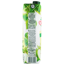 Load image into Gallery viewer, Apple 100% Juice